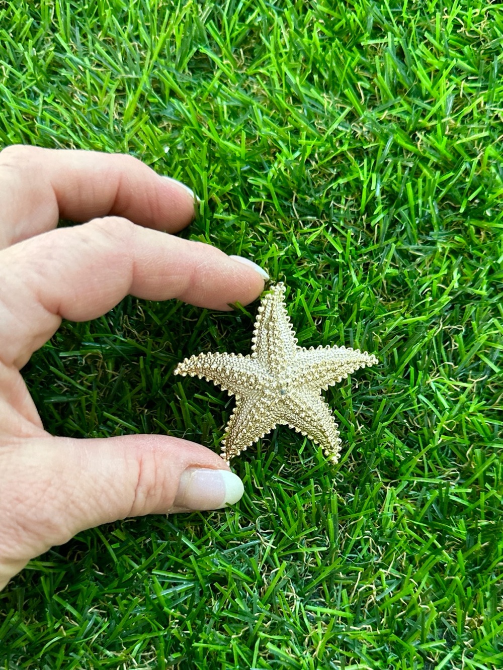 Vintage Starfish pin